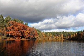 IMG_B5 7312