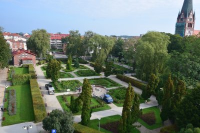 dafne lipecka ogród różany1