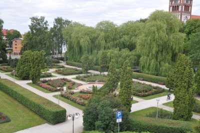 ogród różany park